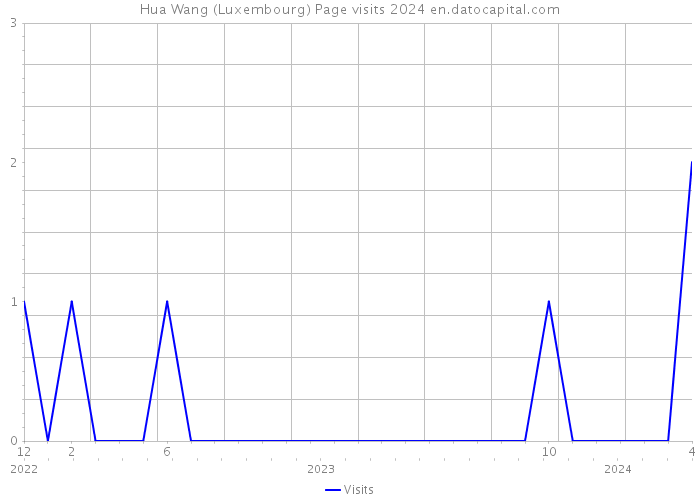Hua Wang (Luxembourg) Page visits 2024 