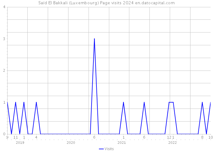 Saïd El Bakkali (Luxembourg) Page visits 2024 