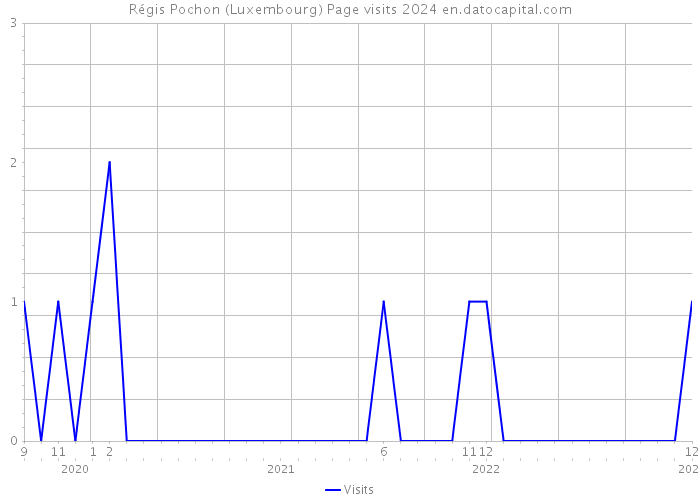 Régis Pochon (Luxembourg) Page visits 2024 