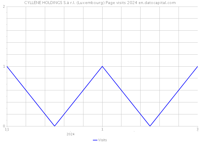 CYLLENE HOLDINGS S.à r.l. (Luxembourg) Page visits 2024 