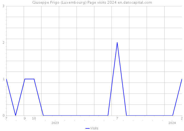 Giuseppe Frigo (Luxembourg) Page visits 2024 