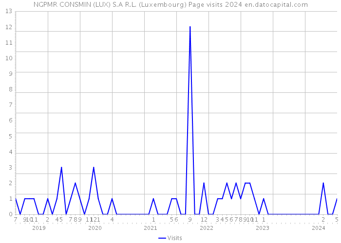 NGPMR CONSMIN (LUX) S.A R.L. (Luxembourg) Page visits 2024 