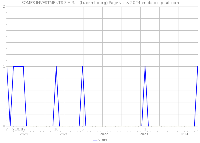 SOMES INVESTMENTS S.A R.L. (Luxembourg) Page visits 2024 