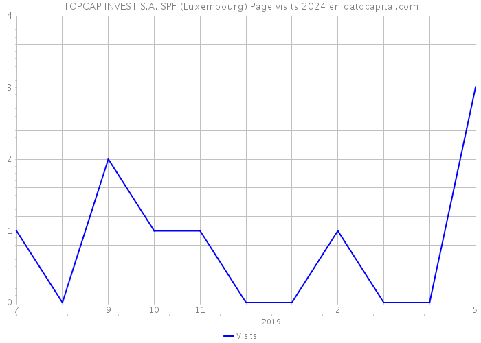 TOPCAP INVEST S.A. SPF (Luxembourg) Page visits 2024 