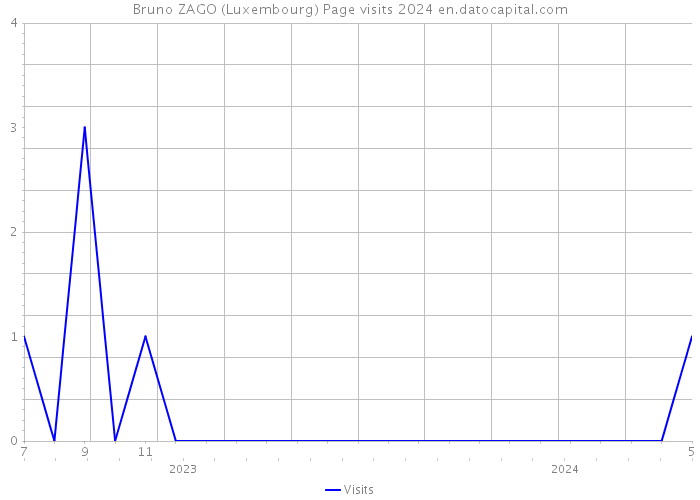 Bruno ZAGO (Luxembourg) Page visits 2024 