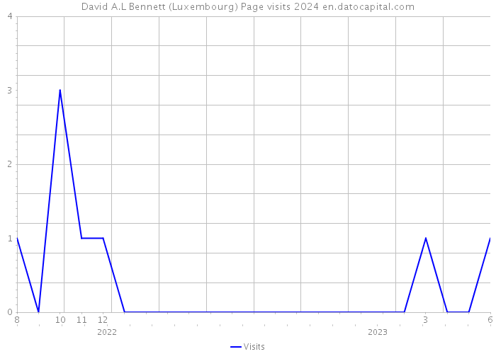 David A.L Bennett (Luxembourg) Page visits 2024 