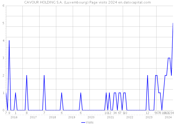 CAVOUR HOLDING S.A. (Luxembourg) Page visits 2024 