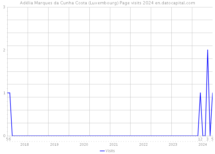 Adélia Marques da Cunha Costa (Luxembourg) Page visits 2024 