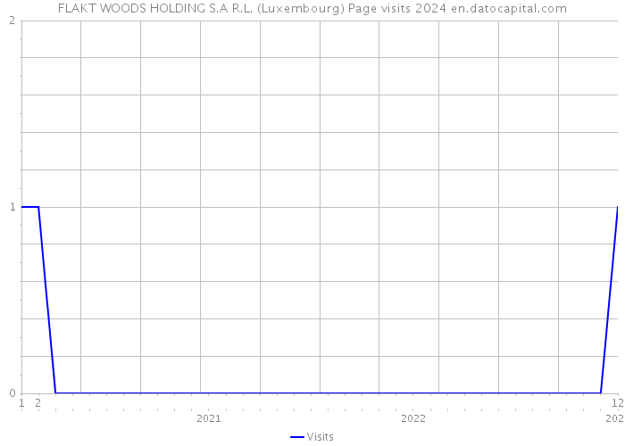 FLAKT WOODS HOLDING S.A R.L. (Luxembourg) Page visits 2024 