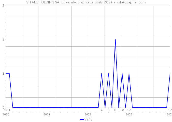 VITALE HOLDING SA (Luxembourg) Page visits 2024 