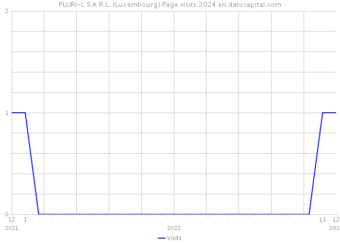PLURI-L S.A R.L. (Luxembourg) Page visits 2024 