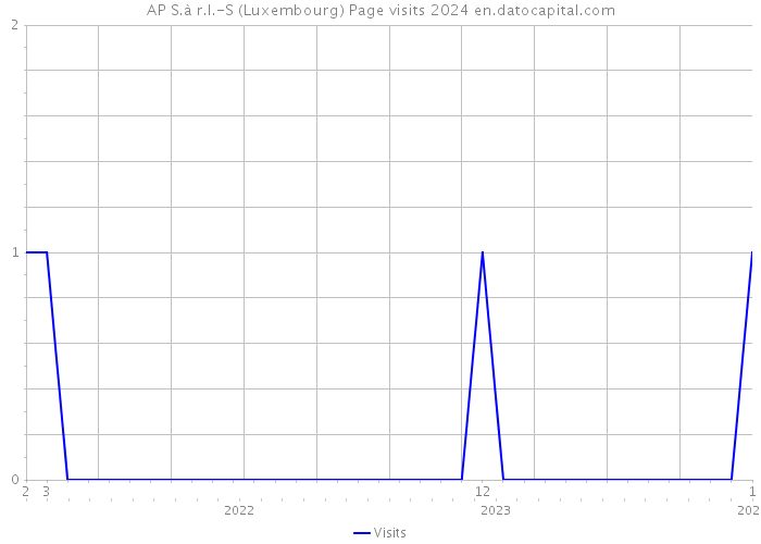 AP S.à r.l.-S (Luxembourg) Page visits 2024 