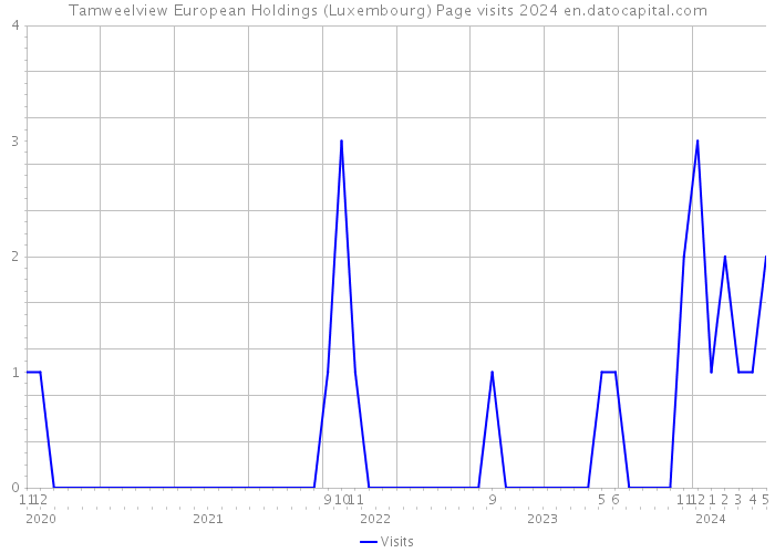 Tamweelview European Holdings (Luxembourg) Page visits 2024 
