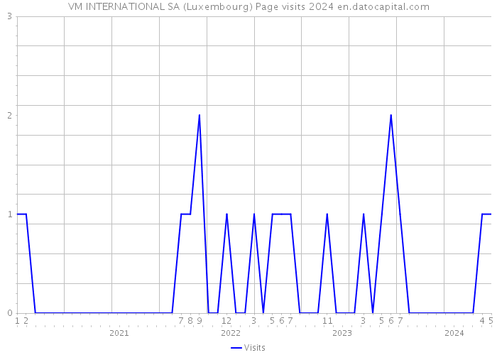 VM INTERNATIONAL SA (Luxembourg) Page visits 2024 
