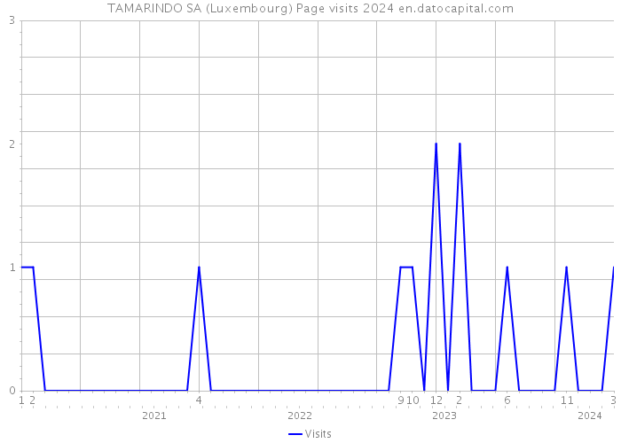 TAMARINDO SA (Luxembourg) Page visits 2024 