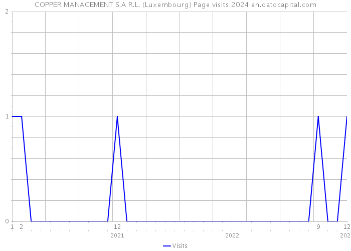 COPPER MANAGEMENT S.A R.L. (Luxembourg) Page visits 2024 