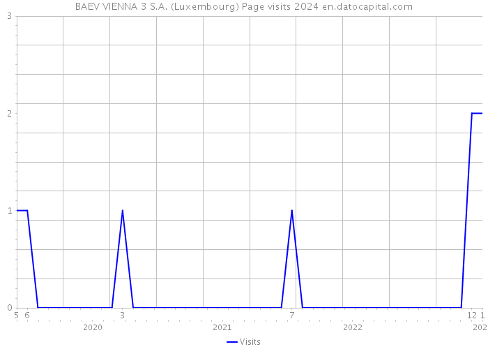 BAEV VIENNA 3 S.A. (Luxembourg) Page visits 2024 