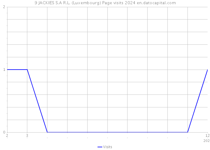 9 JACKIES S.A R.L. (Luxembourg) Page visits 2024 