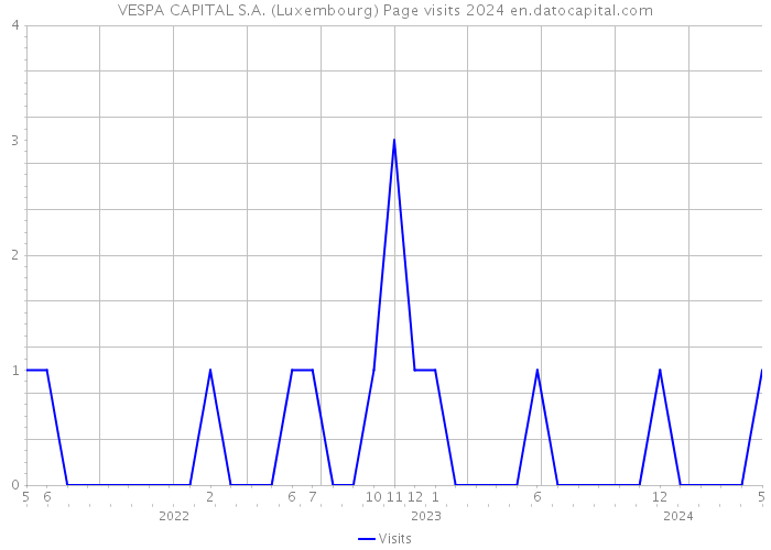 VESPA CAPITAL S.A. (Luxembourg) Page visits 2024 