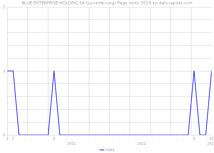BLUE ENTERPRISE HOLDING SA (Luxembourg) Page visits 2024 