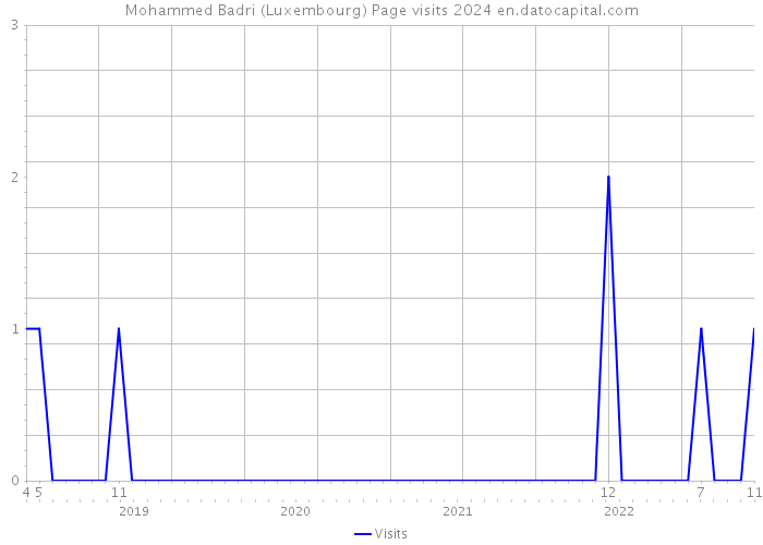 Mohammed Badri (Luxembourg) Page visits 2024 