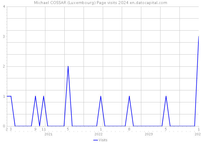 Michael COSSAR (Luxembourg) Page visits 2024 