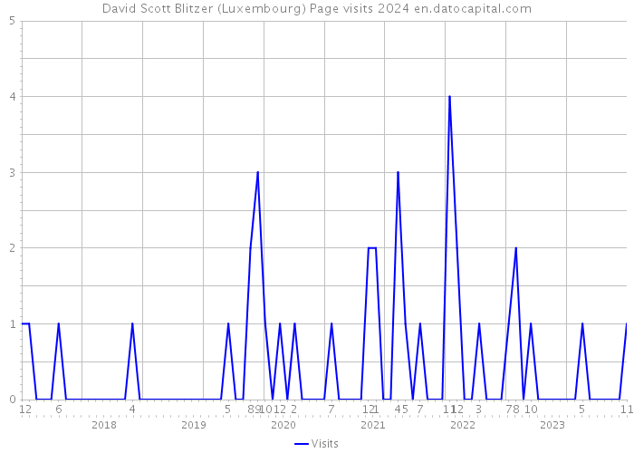 David Scott Blitzer (Luxembourg) Page visits 2024 