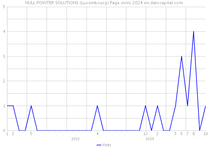 NULL POINTER SOLUTIONS (Luxembourg) Page visits 2024 