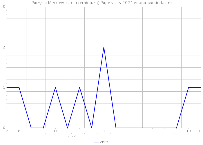 Patrycja Minkiewicz (Luxembourg) Page visits 2024 