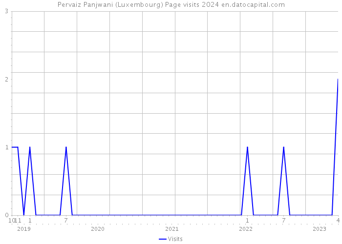 Pervaiz Panjwani (Luxembourg) Page visits 2024 