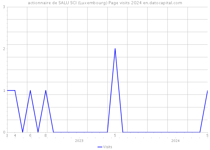 actionnaire de SALU SCI (Luxembourg) Page visits 2024 