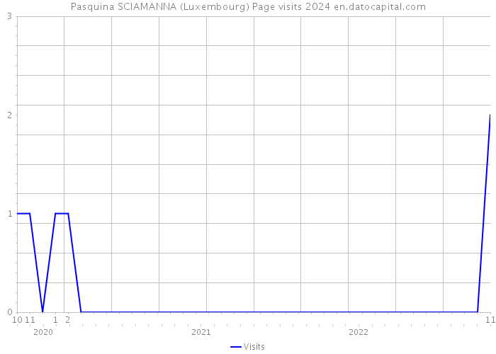 Pasquina SCIAMANNA (Luxembourg) Page visits 2024 