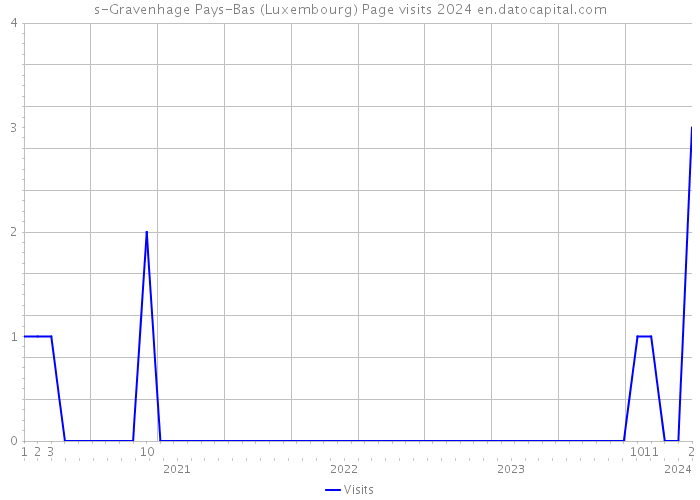 s-Gravenhage Pays-Bas (Luxembourg) Page visits 2024 