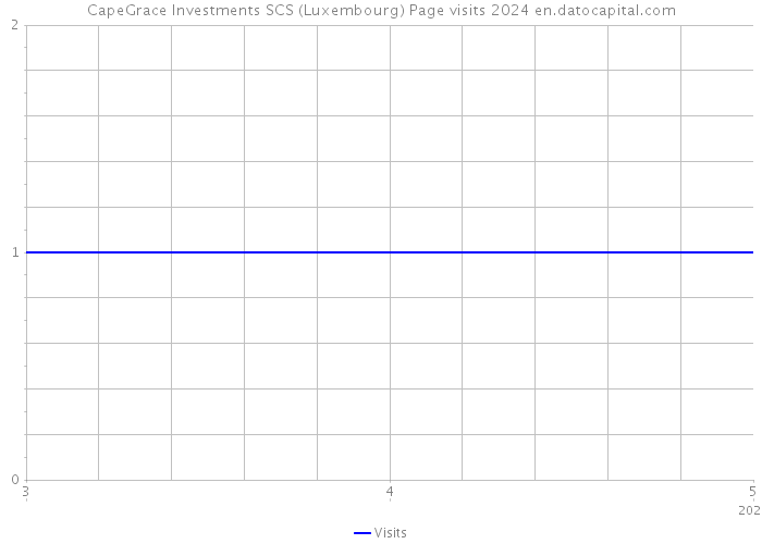 CapeGrace Investments SCS (Luxembourg) Page visits 2024 
