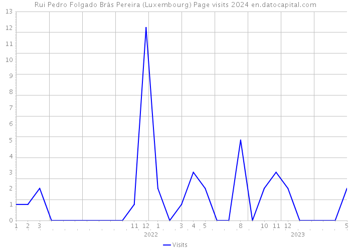 Rui Pedro Folgado Brás Pereira (Luxembourg) Page visits 2024 