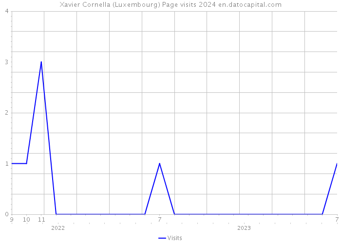 Xavier Cornella (Luxembourg) Page visits 2024 