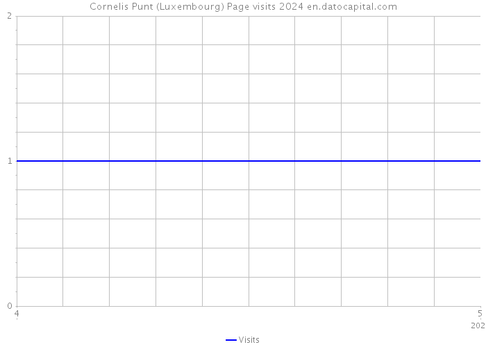 Cornelis Punt (Luxembourg) Page visits 2024 