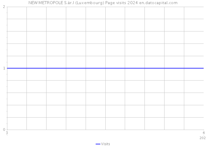 NEW METROPOLE S.àr.l (Luxembourg) Page visits 2024 