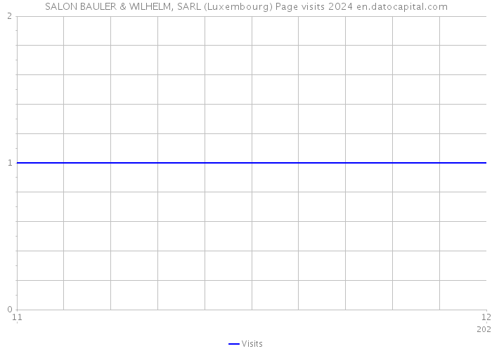 SALON BAULER & WILHELM, SARL (Luxembourg) Page visits 2024 