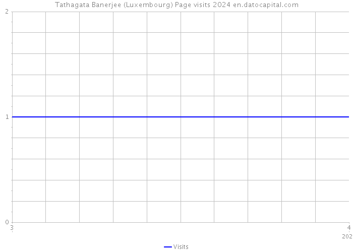 Tathagata Banerjee (Luxembourg) Page visits 2024 