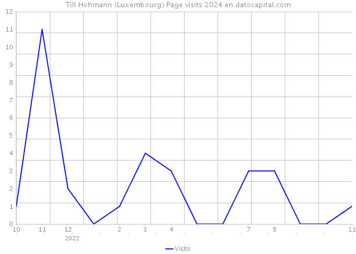 Till Hohmann (Luxembourg) Page visits 2024 