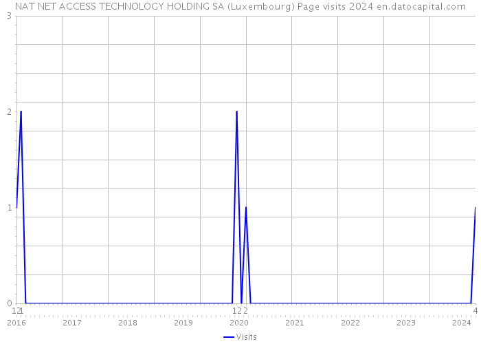 NAT NET ACCESS TECHNOLOGY HOLDING SA (Luxembourg) Page visits 2024 