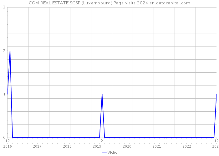 COM REAL ESTATE SCSP (Luxembourg) Page visits 2024 
