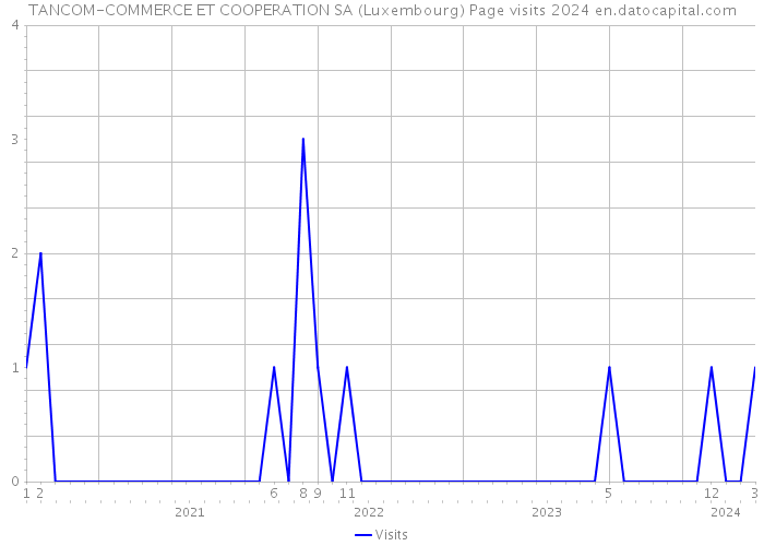 TANCOM-COMMERCE ET COOPERATION SA (Luxembourg) Page visits 2024 