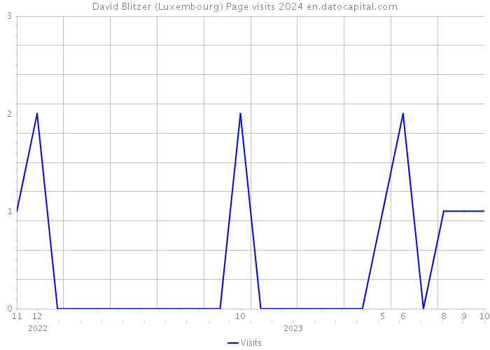 David Blitzer (Luxembourg) Page visits 2024 