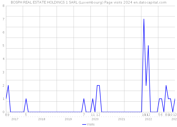 BOSPH REAL ESTATE HOLDINGS 1 SARL (Luxembourg) Page visits 2024 