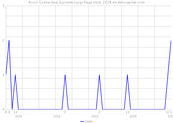Rocio Goenechea (Luxembourg) Page visits 2024 