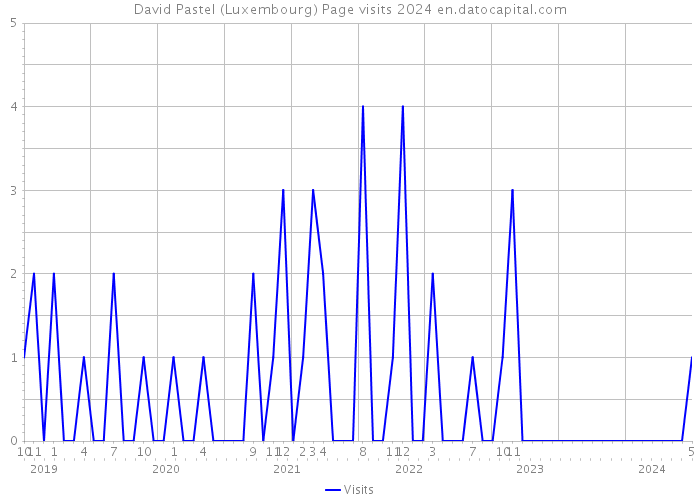 David Pastel (Luxembourg) Page visits 2024 