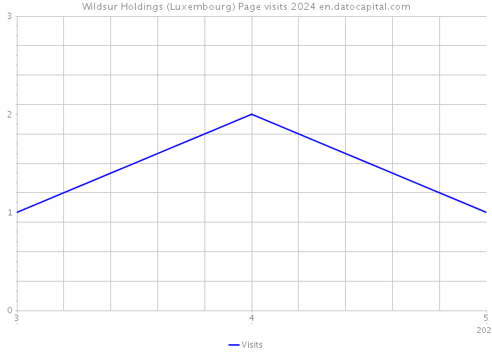 Wildsur Holdings (Luxembourg) Page visits 2024 