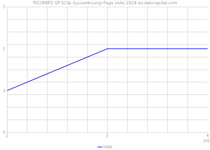 PICOREP2 GP SCSp (Luxembourg) Page visits 2024 